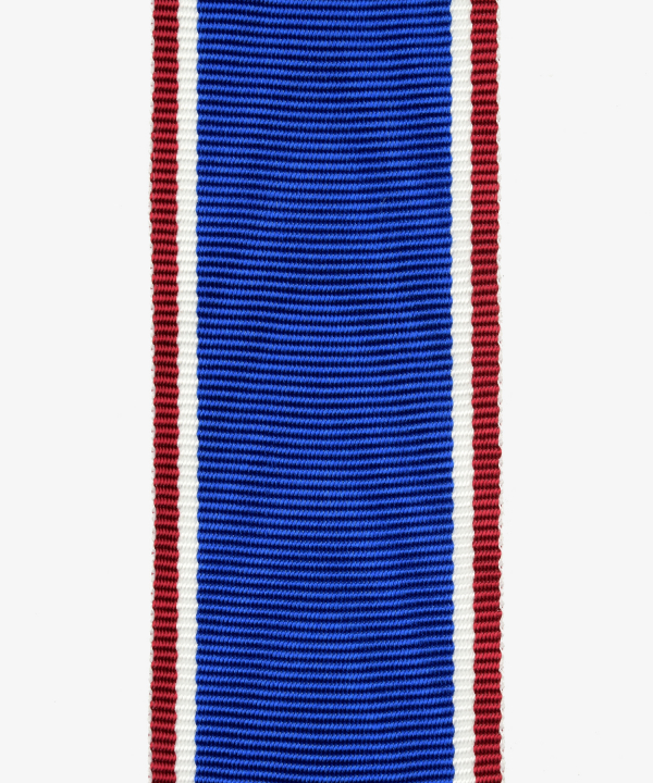 Niederlande, Medaille Ereteken voor Verdienste (147)